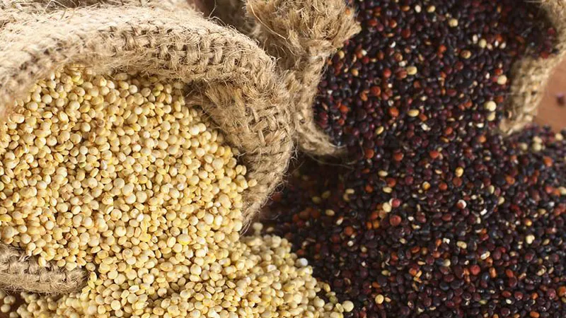 Ăn hạt quinoa thay cơm trắng có thật sự giảm cân, đẹp dáng như các nghệ sĩ?