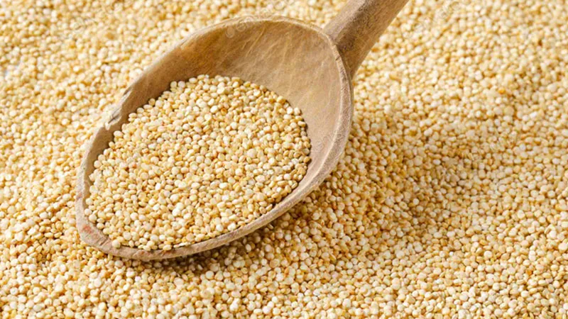 Ăn hạt quinoa thay cơm trắng có thật sự giảm cân, đẹp dáng như các nghệ sĩ?