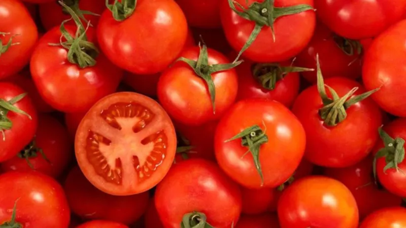 Cà chua có bao nhiêu calo? Công dụng của cà chua đối với sức khỏe