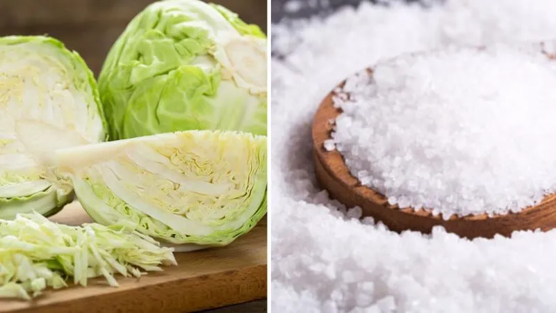 Cách làm bắp cải muối kiểu Đức Sauerkraut đúng chuẩn