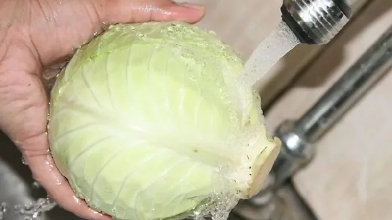 Cách làm bắp cải muối kiểu Đức Sauerkraut đúng chuẩn