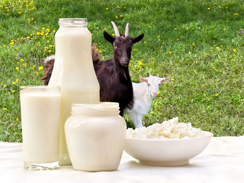 Muốn giảm cân nhanh và an toàn, chọn ngay các loại sữa này
