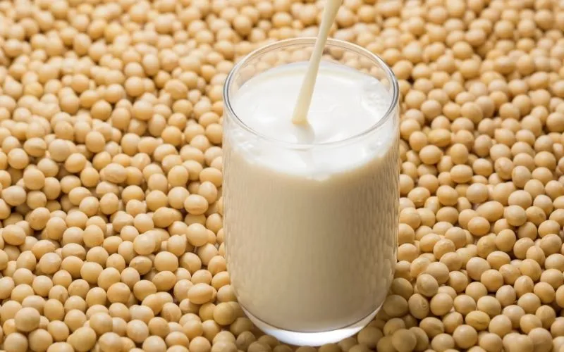 Sữa đậu nành bao nhiêu calo? Uống sữa đậu nành có béo không?